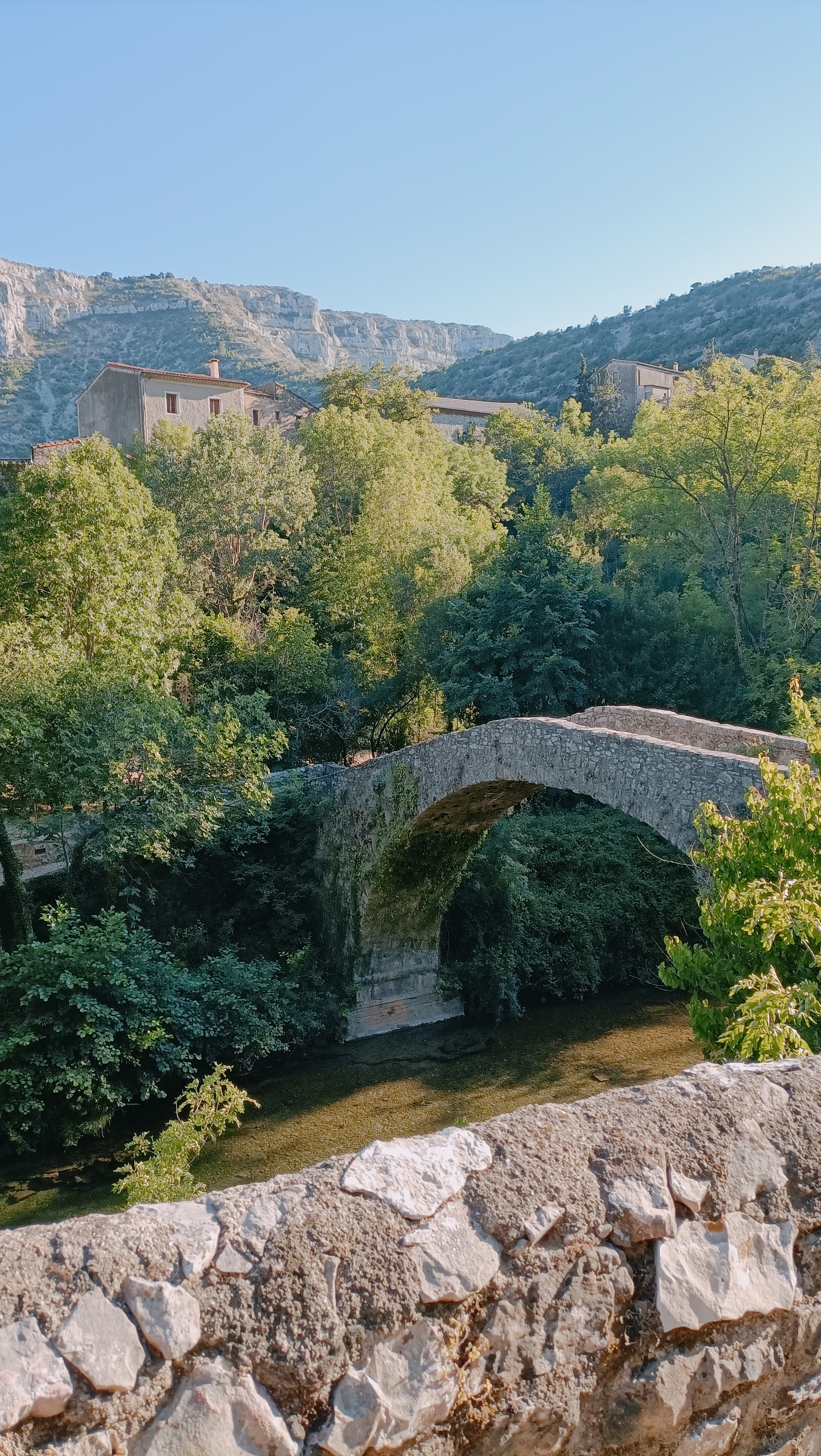Photo n° 2 de l'avis de Raphie.a fait le 22/07/2022 à 19:00