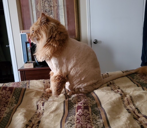 Pet Supply Store «PetSmart», reviews and photos, 1145 W Riverdale Rd, Riverdale, UT 84405, USA