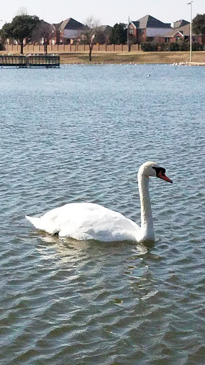 Park «W. J. Thomas Park», reviews and photos, 1955 Perry Rd, Carrollton, TX 75006, USA