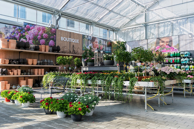 Rezensionen über BlumenGarten Küng AG in Frauenfeld - Gartenbauer