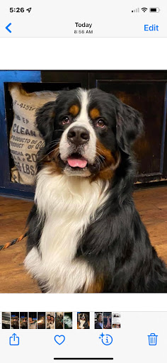 Insurance Agency «Allstate Insurance Agent: Michael Levenson», reviews and photos