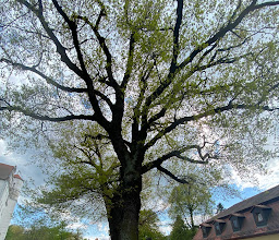 Deutschlands Zauberschloss photo