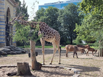 Berlin Zoological Garden