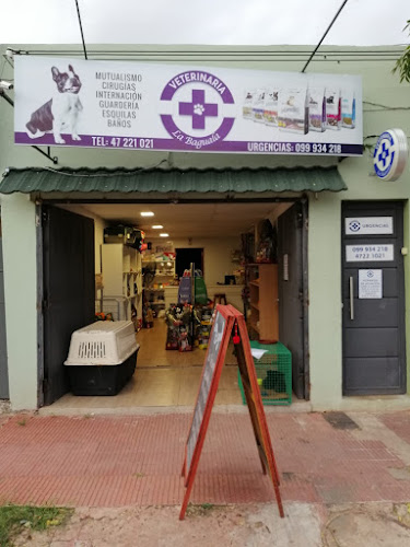 Veterinaria "La Baguala" - Paysandú