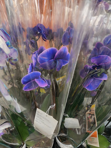 Home Improvement Store «The Home Depot», reviews and photos, 310 N White Horse Pike #1, Lawnside, NJ 08045, USA