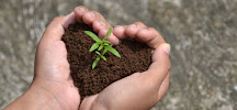 Battle Creek Landscape Service - Photo 2 - Car repair in Battle Creek, MI, Kalamazoo
