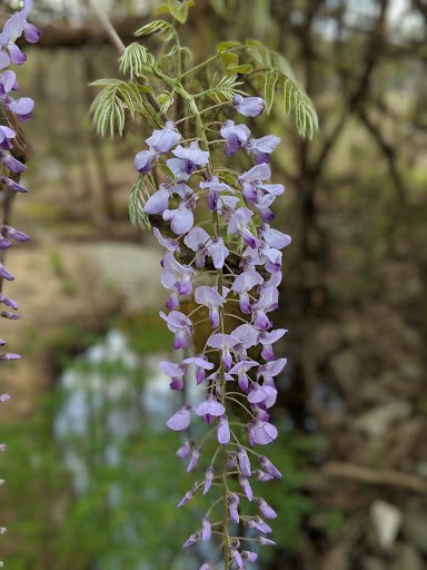 Public Golf Course «Hillandale Golf Course», reviews and photos, 1600 Hillandale Rd, Durham, NC 27705, USA