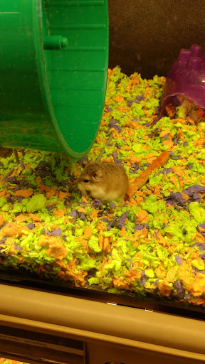 Pet Supply Store «PetSmart», reviews and photos, 1801 Howell Mill Rd NW, Atlanta, GA 30318, USA