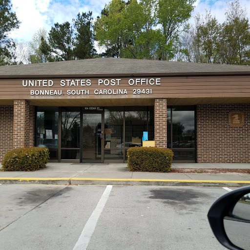 National Forest «Francis Marion National Forest», reviews and photos, 2967 Steed Creek Rd, Huger, SC 29450, USA