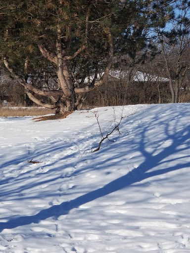 Nature Preserve «Rock Run Preserve - Paul V. Nichols Access», reviews and photos, Essington Rd, Joliet, IL 60435, USA