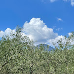 Photo n°5 de l'avis de Luisa.a fait le 26/08/2022 à 10:08 sur le  Il Casale à Terzigno