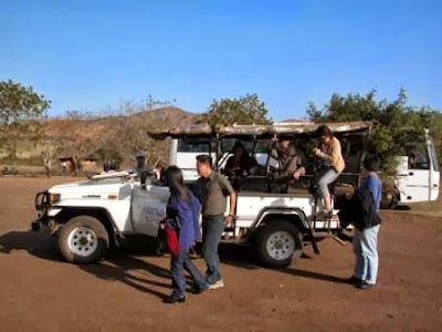 Photos of Dinizulu Safaris