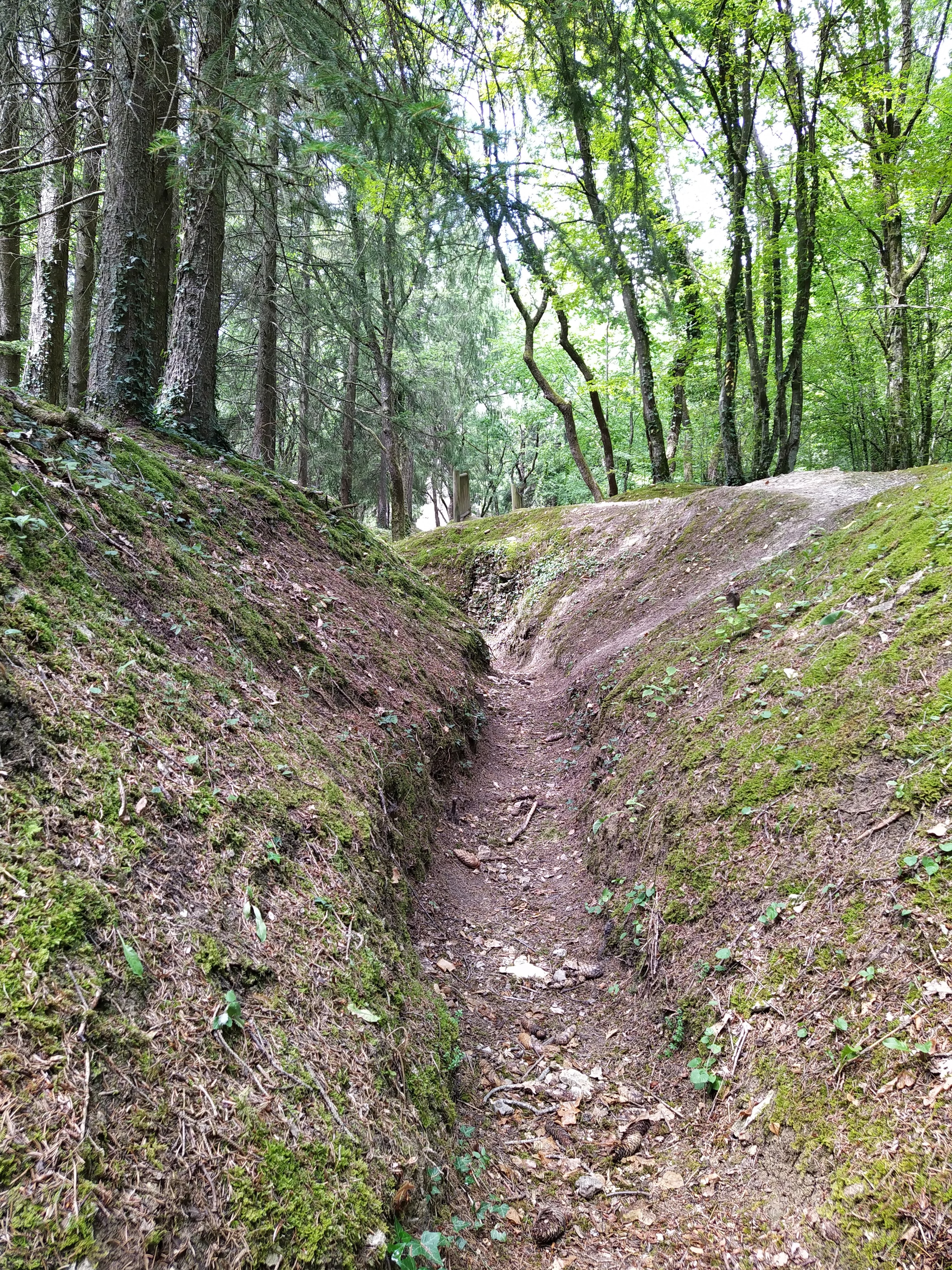 Photo n° 4 de l'avis de Christian.e fait le 28/07/2020 à 08:40