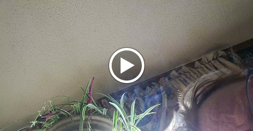 Discount Store «Dollar General», reviews and photos, 705 1st Ave, Perry, IA 50220, USA