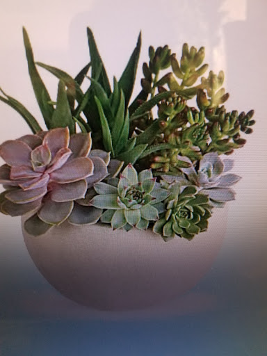 Florist «Blooming Events Florists», reviews and photos, 42005 Cook St #210, Palm Desert, CA 92211, USA