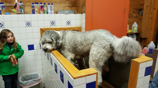 Pet Store «The Pet Works», reviews and photos, 240 14th St, Astoria, OR 97103, USA