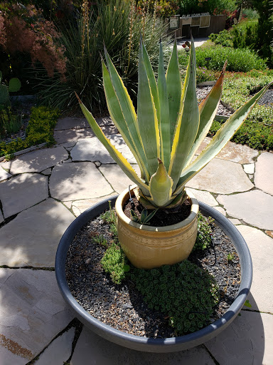 Botanical Garden «Conservation Garden Park», reviews and photos, 8275 1300 W, West Jordan, UT 84088, USA