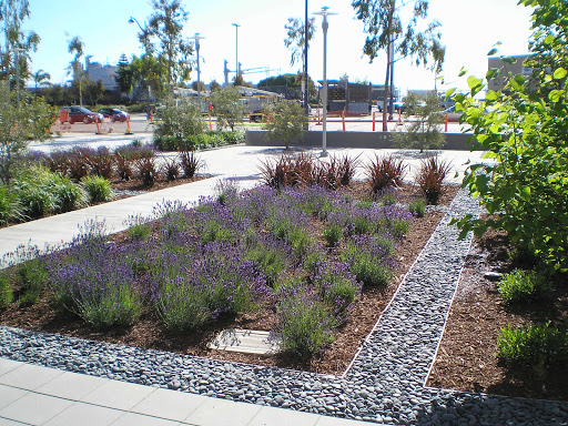 Landscape architect Daly City
