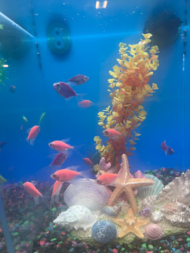 Pet Supply Store «Petco Animal Supplies», reviews and photos, 1945 W Palmetto St #250, Florence, SC 29501, USA