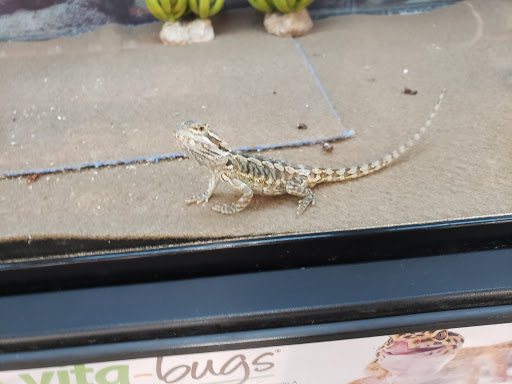 Pet Supply Store «Petco Animal Supplies», reviews and photos, 1878 Arden Way, Sacramento, CA 95815, USA