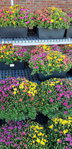 Supermarket «Price Chopper», reviews and photos, 6025 NY-5, Palatine Bridge, NY 13428, USA