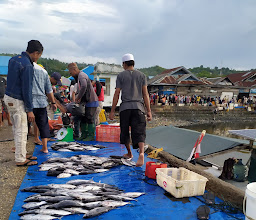 Pelelangan Ikan photo