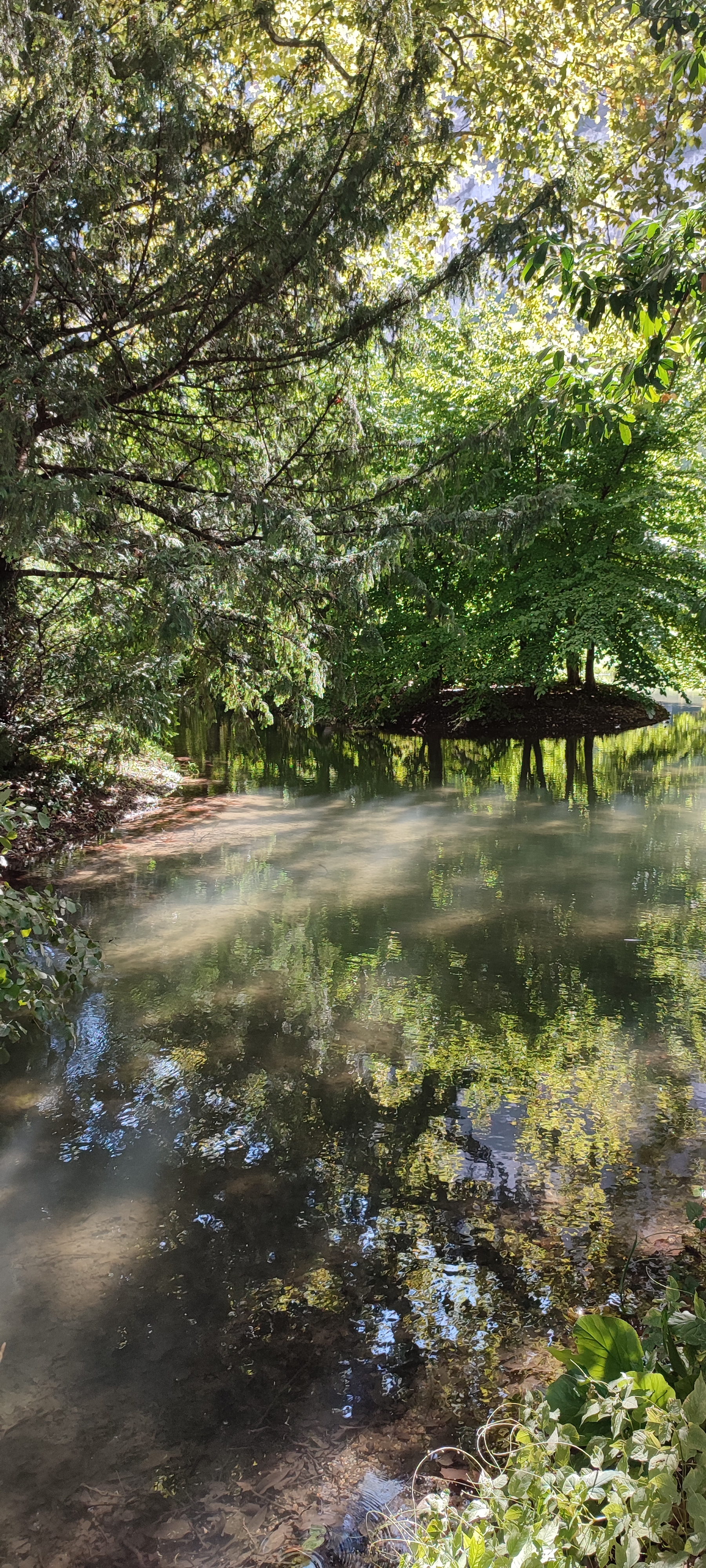 Photo n° 2 de l'avis de Isabelle.H fait le 17/09/2022 à 14:28