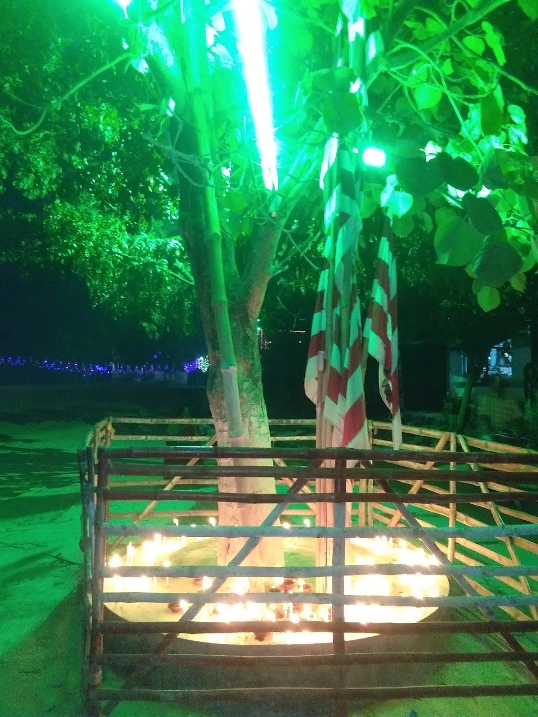 Adibasi Para Sarna Sthal (आदिवासी पाड़ा सरना स्थल)