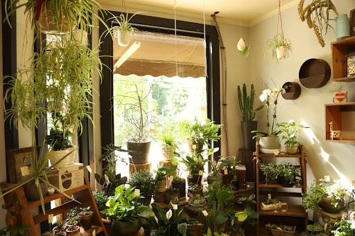 Florist «Fleur De Lis», reviews and photos, 460 Ocean St, South Portland, ME 04106, USA