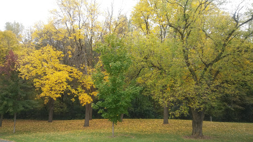 Park «Hansen Park», reviews and photos, 1555 5th St NW, New Brighton, MN 55112, USA