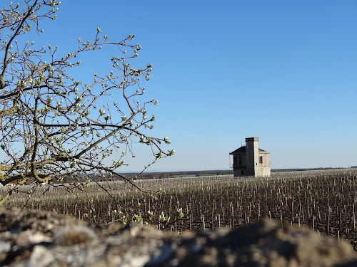 Agence de visites touristiques Sylvain Fauvé Atelier de la Vigne et du Vin - Parcours Olfactif des Vins Montceau-et-Écharnant