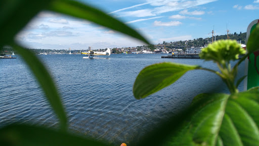 Park «Lake Union Park», reviews and photos, 860 Terry Ave N, Seattle, WA 98109, USA