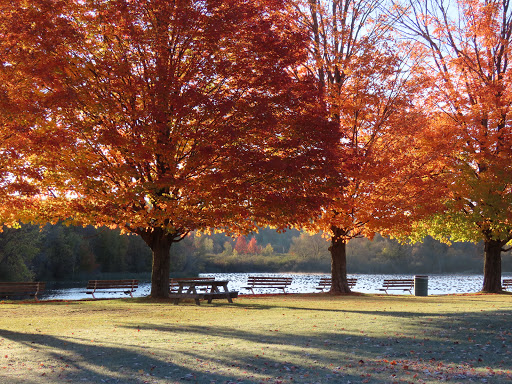 Park «Malone Village Memorial Park», reviews and photos, Duane St, Malone, NY 12953, USA