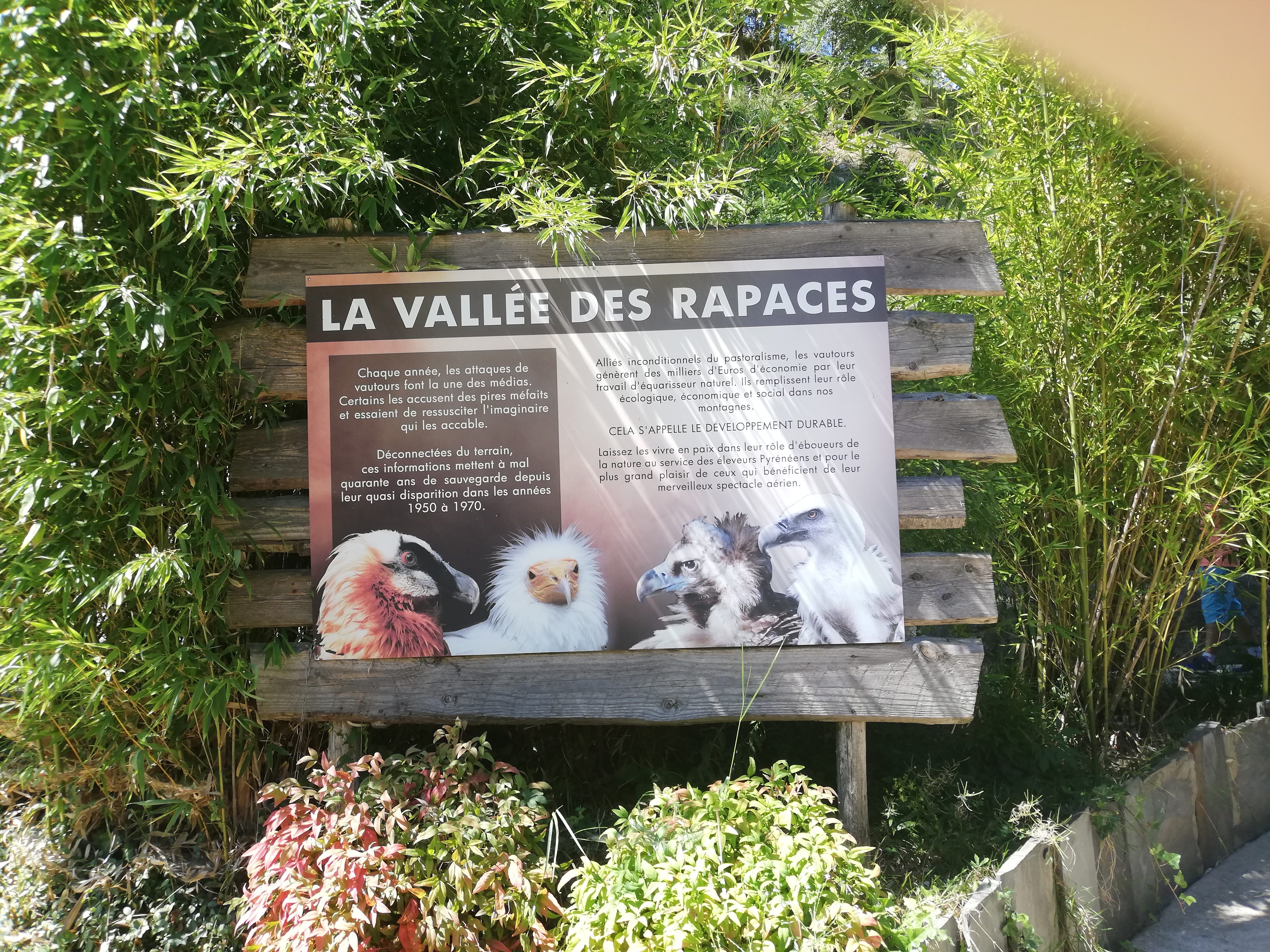 Photo n° 49 de l'avis de Soleil. fait le 20/08/2020 à 12:36