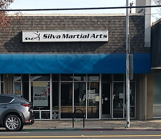 Silva Martial Arts