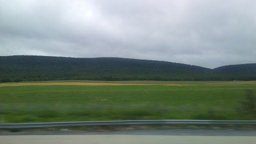 Auto Auction «Manheim Keystone Pennsylvania», reviews and photos, 488 Firehouse Rd, Grantville, PA 17028, USA