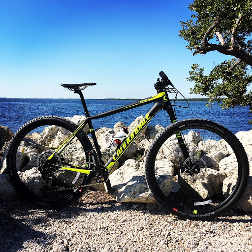 Bicycle Store «Bike Tech», reviews and photos, 7252 Bird Rd, Miami, FL 33155, USA