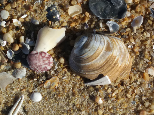 Golf Course «Sea Scape Golf Links», reviews and photos, 300 W Eckner St, Kitty Hawk, NC 27949, USA