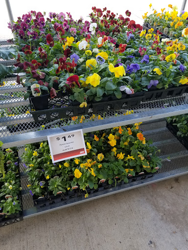 Hardware Store «Westlake Ace Hardware», reviews and photos, 2000 Matlock Rd, Mansfield, TX 76063, USA