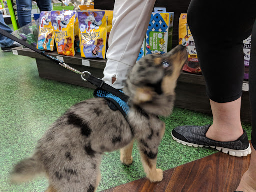 Pet Supply Store «Pet Supermarket», reviews and photos, 4500 N State Rd 7, Pompano Beach, FL 33073, USA