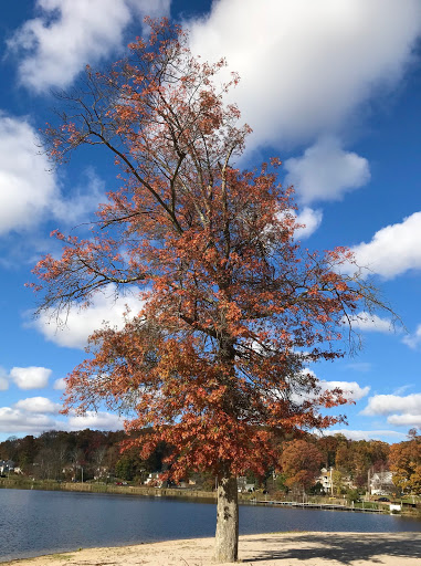 Park «Parks Lake», reviews and photos, Academy St, Rockaway, NJ 07866, USA