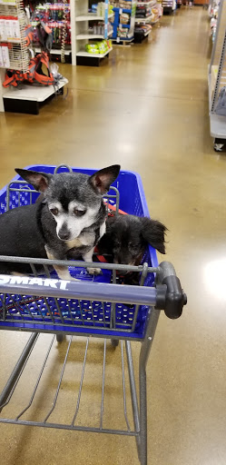 Pet Supply Store «PetSmart», reviews and photos, 3260 Stockton Hill Rd, Kingman, AZ 86409, USA