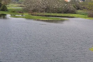 Vandalur Lake Outer Ring image