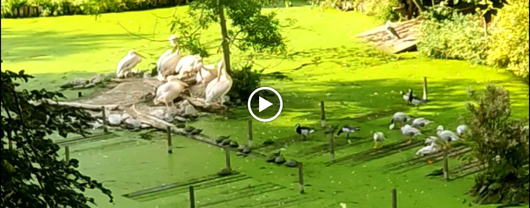 Photo n° 3 de l'avis de Xavier.o fait le 20/10/2023 à 20:26