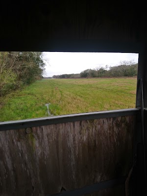 Justin Hurst Wildlife Management Area - photo 47