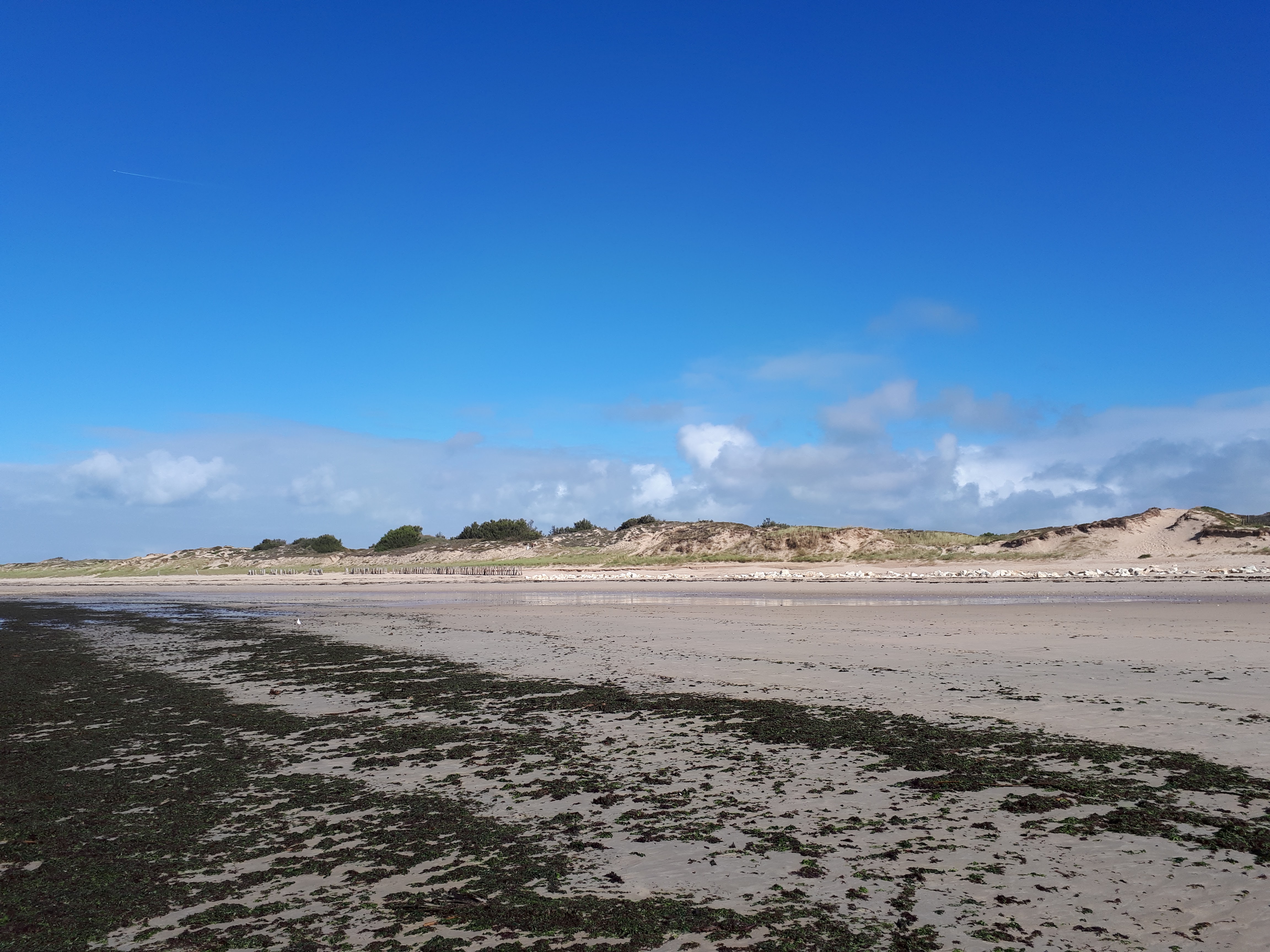 Photo n° 2 de l'avis de Frédéric.o fait le 05/10/2019 à 17:58