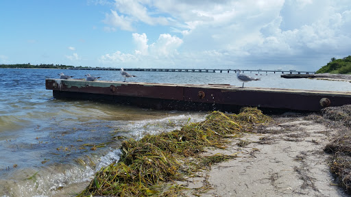 Park «Historic Virginia Key Beach Park», reviews and photos, 4020 Virginia Beach Dr, Miami, FL 33149, USA