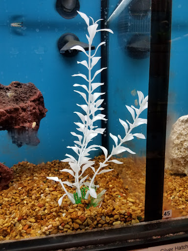 Pet Supply Store «Petco Animal Supplies», reviews and photos, 1337 N National Rd, Columbus, IN 47201, USA