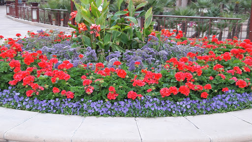 Shopping Mall «Arizona Center», reviews and photos, 400 E Van Buren St, Phoenix, AZ 85004, USA