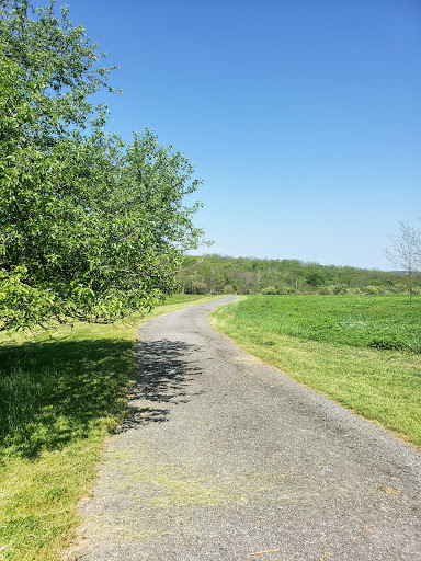 Nature Preserve «Teetertown Ravine Nature Preserve», reviews and photos, 30 Pleasant Grove Rd, Port Murray, NJ 07865, USA